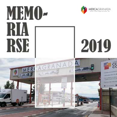 Memoria RSE 2019