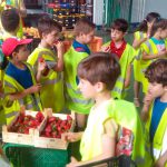 Colegio El Olivarillo - MercaGranada SA