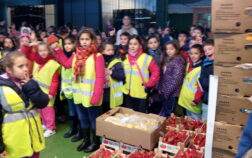 Colegio "Las Mimbres" - MercaGranada SA