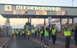 Foto-Mercagranada-visita-delegacion-angola