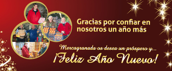 Mercagranada os quiere dar una felicitacion de Navidad