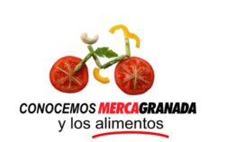 vuelta al cole conoce mercagraada y los alimentos