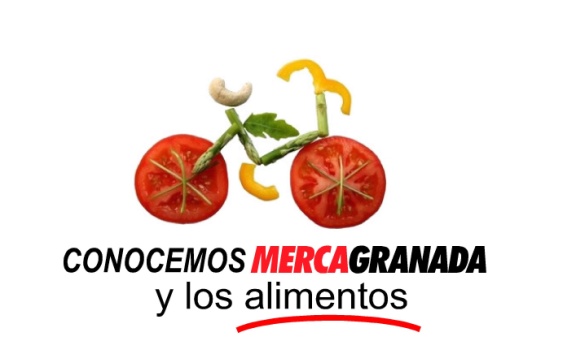 vuelta al cole conoce mercagraada y los alimentos