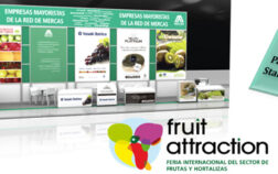 Mercasa impulsa la presencia de mayoristas en la feria Fruit Attraction 2014