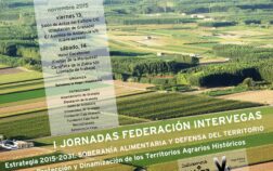 mercagranada-jornada-federacion-intervegas